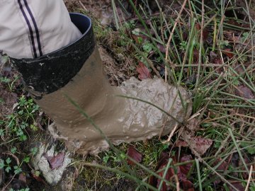 Muddy welly
